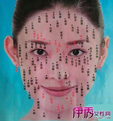 臥蠶上有痣|面相特徵看女生好命嗎？痣、法令紋、眉毛解析